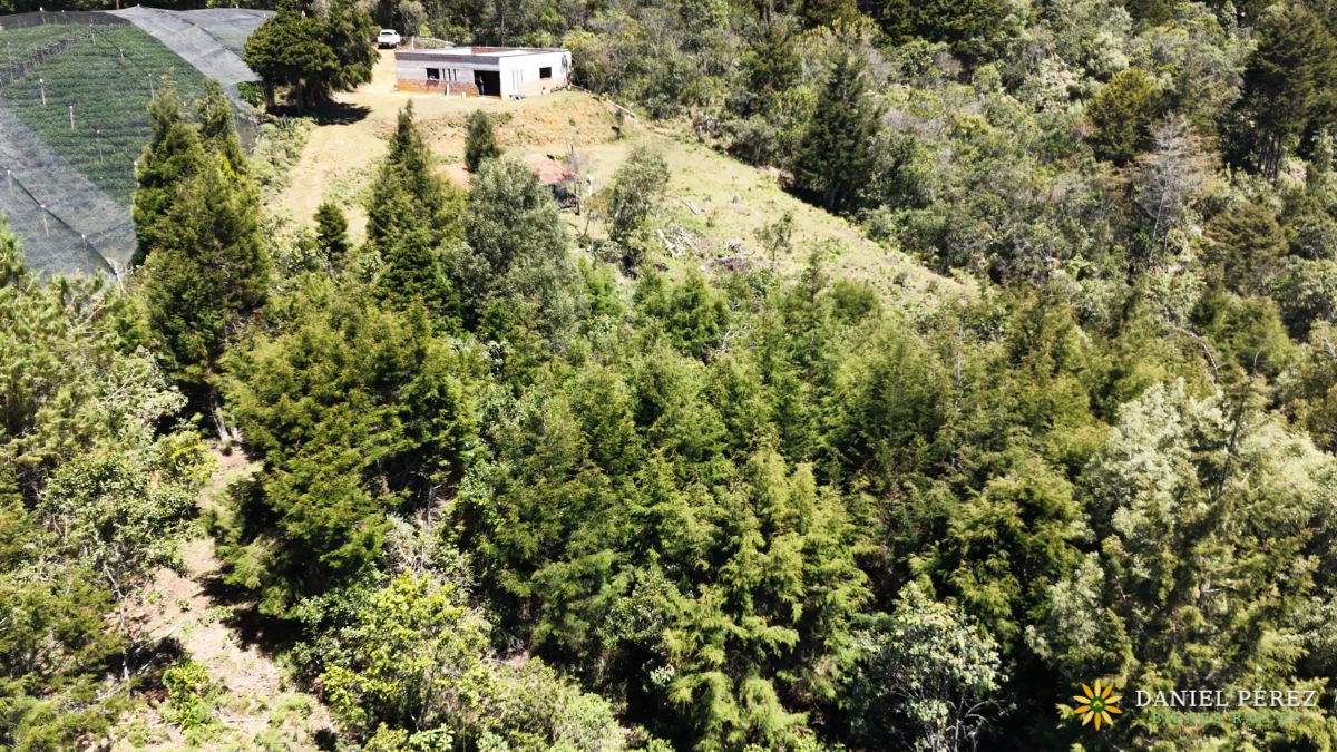 Lote campestre en Guarne, 5.940 m², foto 5
