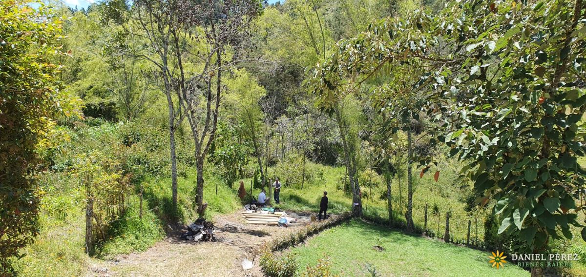 Montaña de más de 34.000 m² en Marinilla, con nacimientos de agua y bosque. Potencial para, foto 10