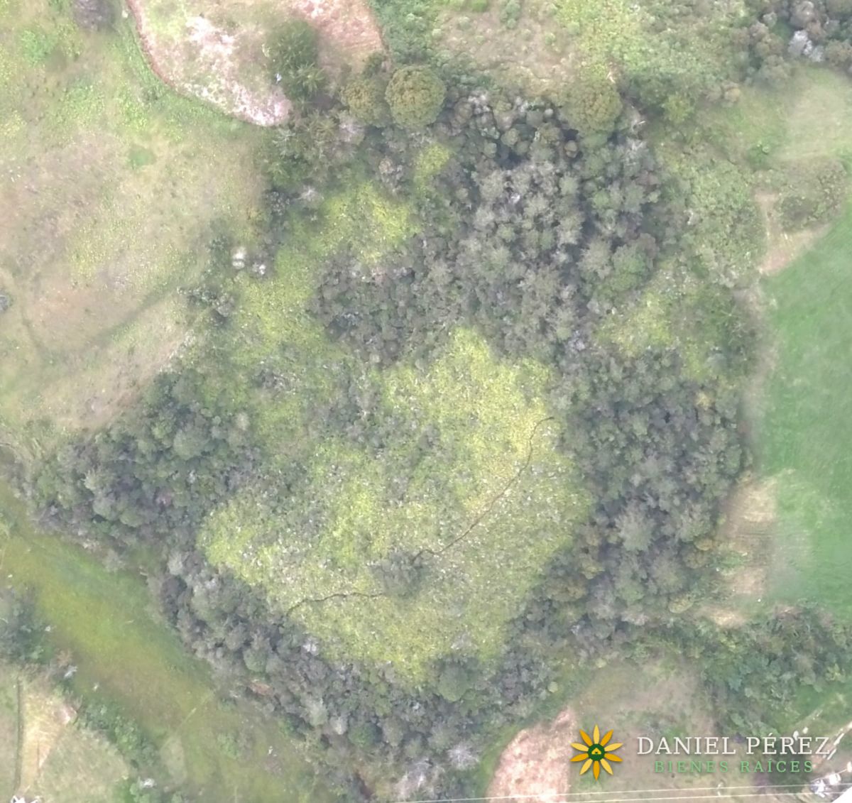 Montaña de más de 34.000 m² en Marinilla, con nacimientos de agua y bosque. Potencial para, foto 8