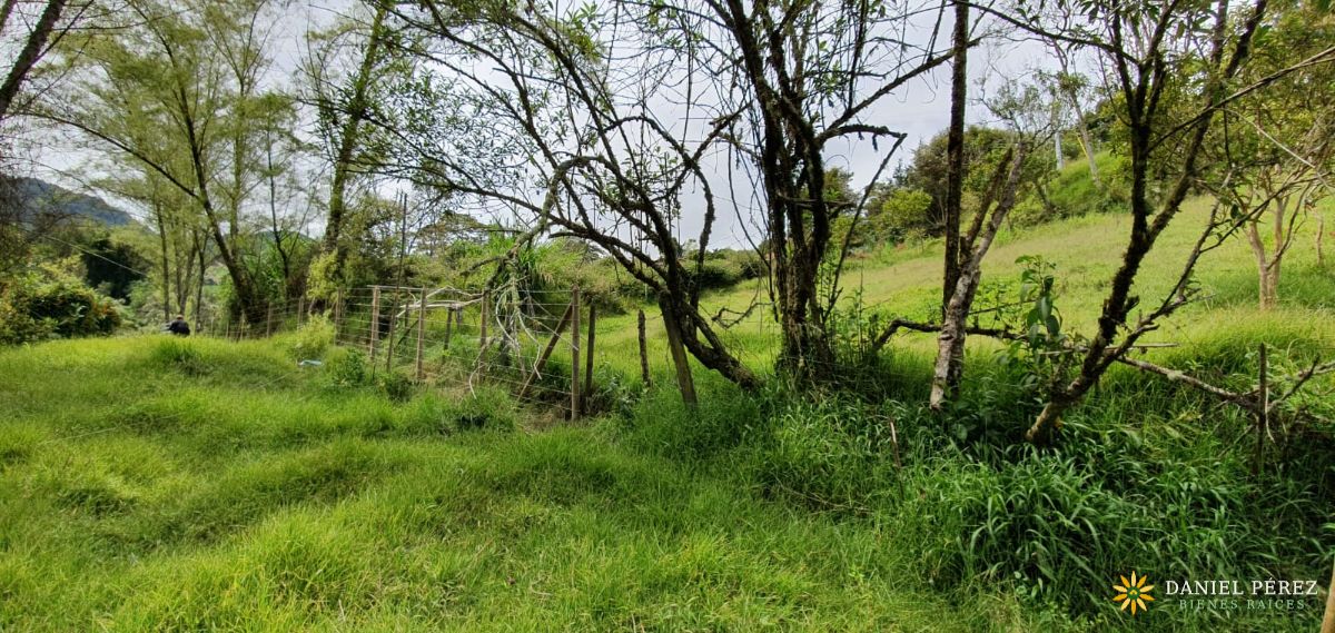 Montaña de más de 34.000 m² en Marinilla, con nacimientos de agua y bosque. Potencial para, foto 11