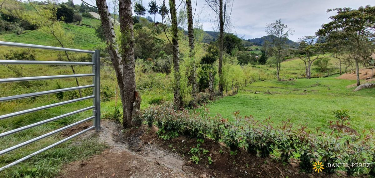 Montaña de más de 34.000 m² en Marinilla, con nacimientos de agua y bosque. Potencial para, foto 9