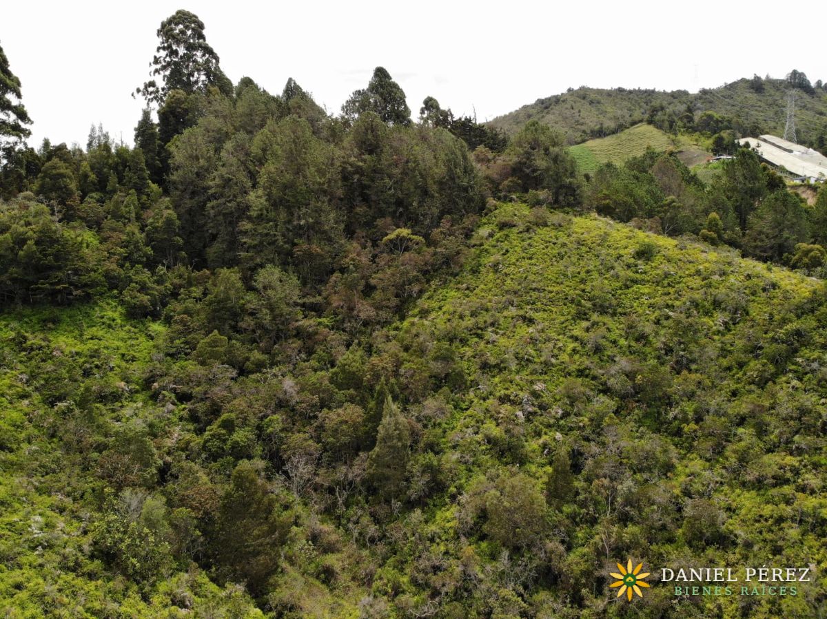Montaña de más de 34.000 m² en Marinilla, con nacimientos de agua y bosque. Potencial para, foto 5