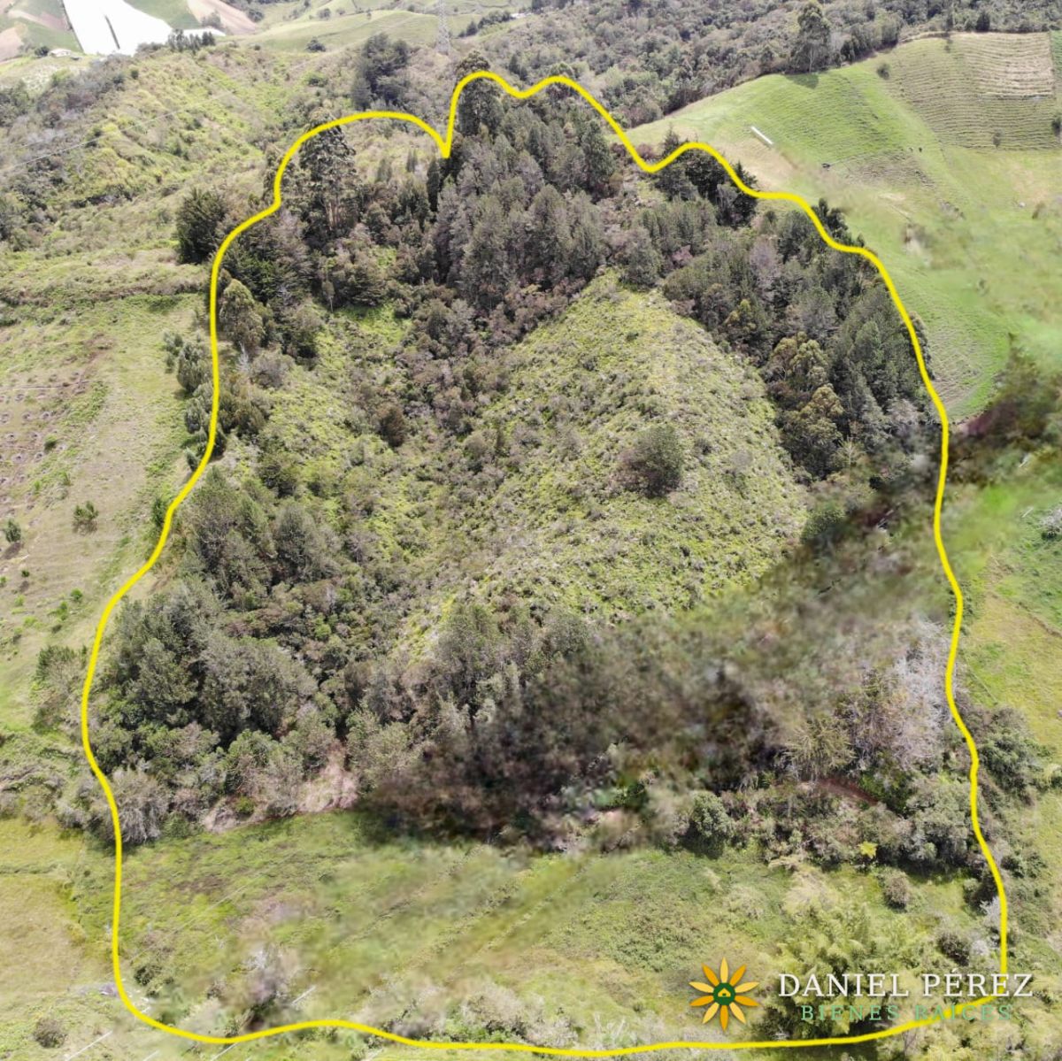Montaña de más de 34.000 m² en Marinilla, con nacimientos de agua y bosque. Potencial para, foto 1