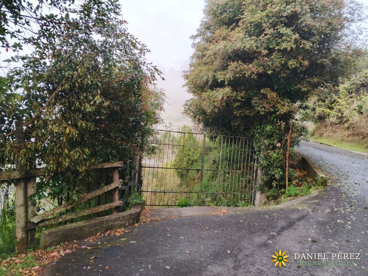 ¡Hermosa cabaña campestre en venta en la Vereda La Frisola, corregimiento de Palmitas!, foto 16