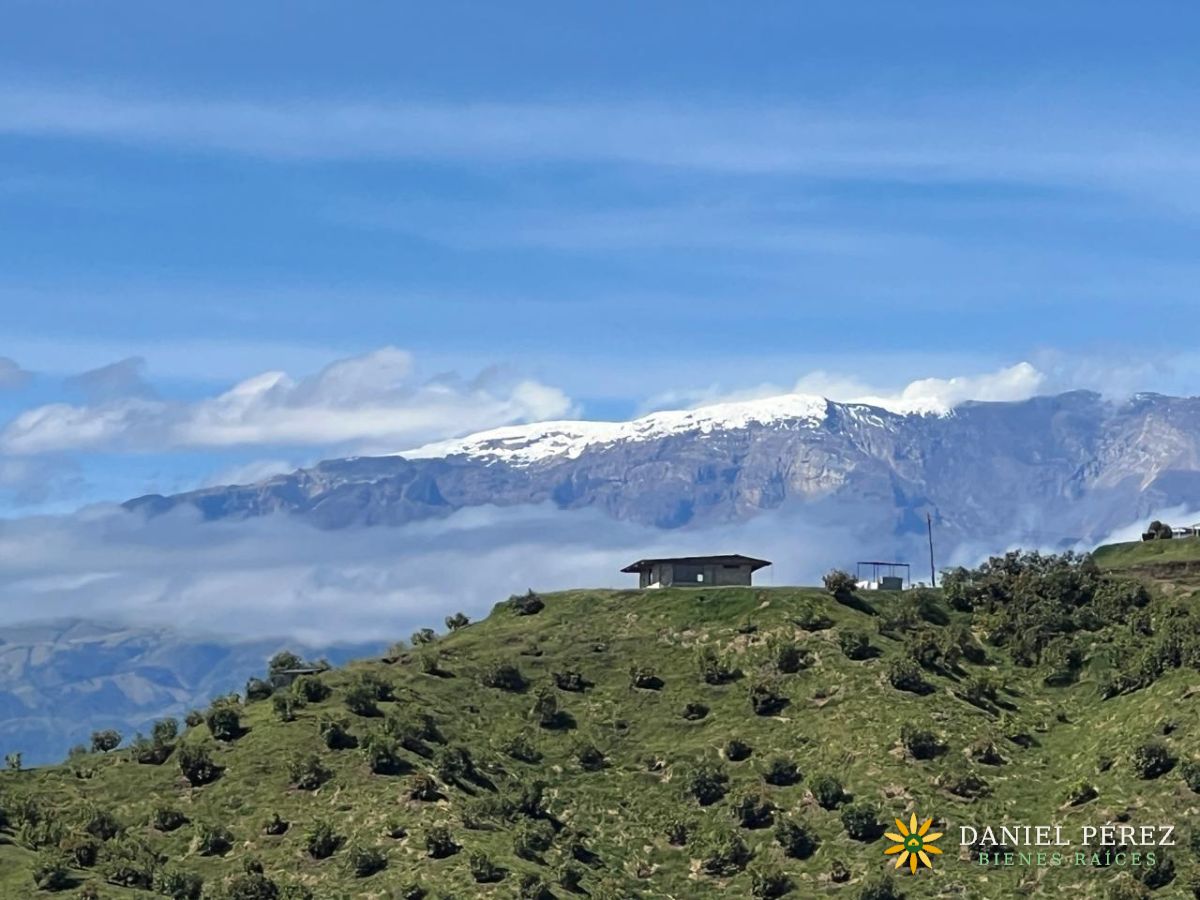 Finca Aguacatera en Tolima - Padua, foto 24