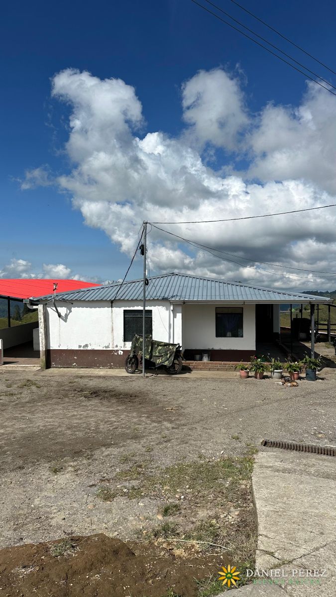 Finca Aguacatera en Tolima - Padua, foto 28