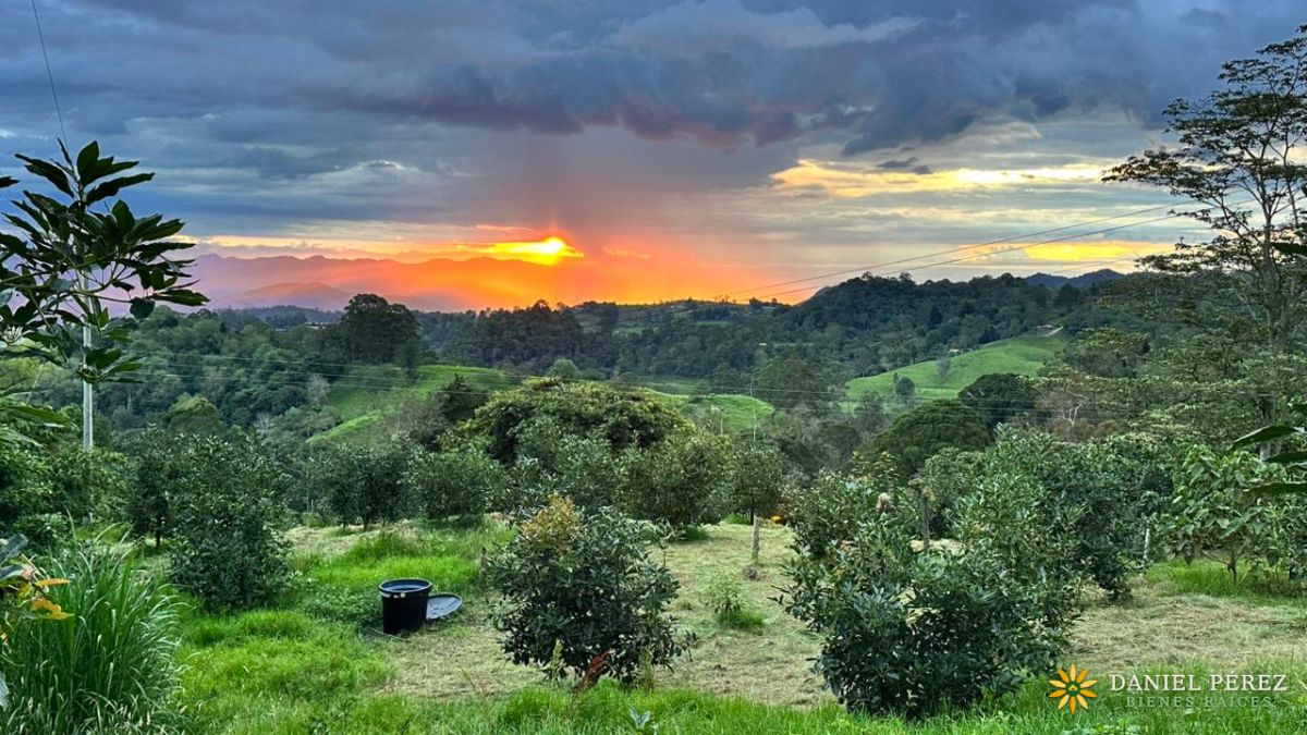 Finca Aguacatera en Tolima - Padua, foto 9