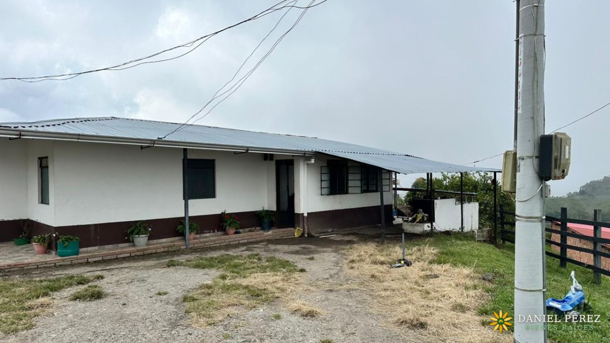 Finca Aguacatera en Tolima - Padua, foto 3