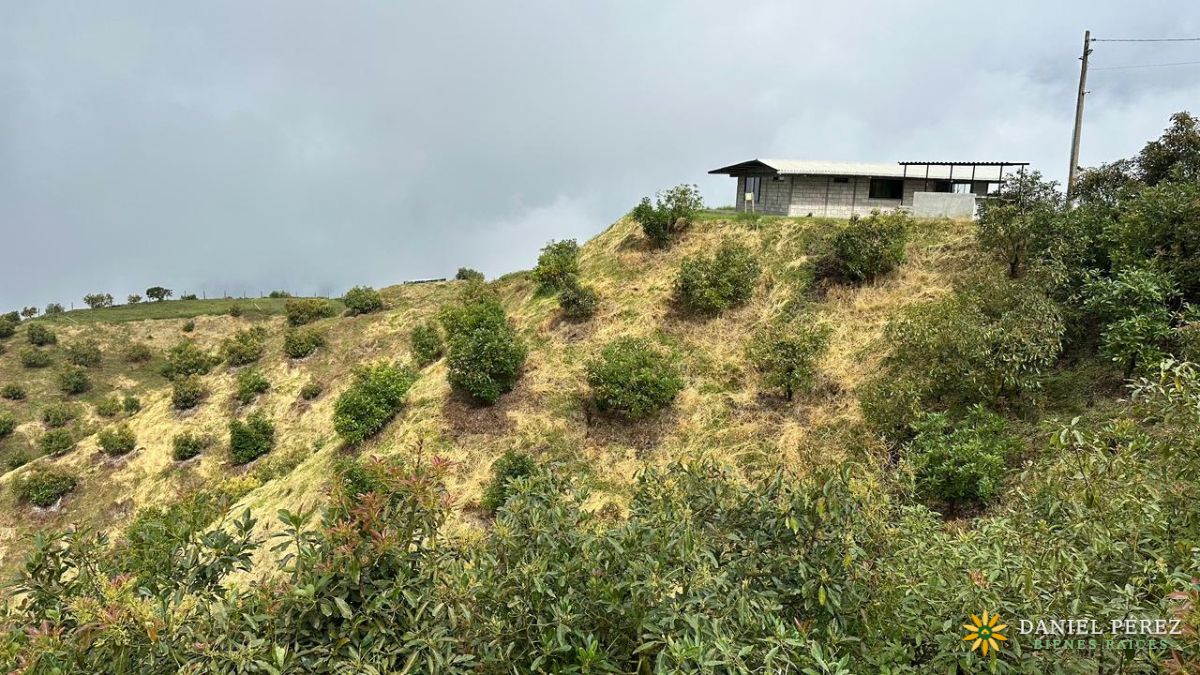 Finca Aguacatera en Tolima - Padua, foto 6