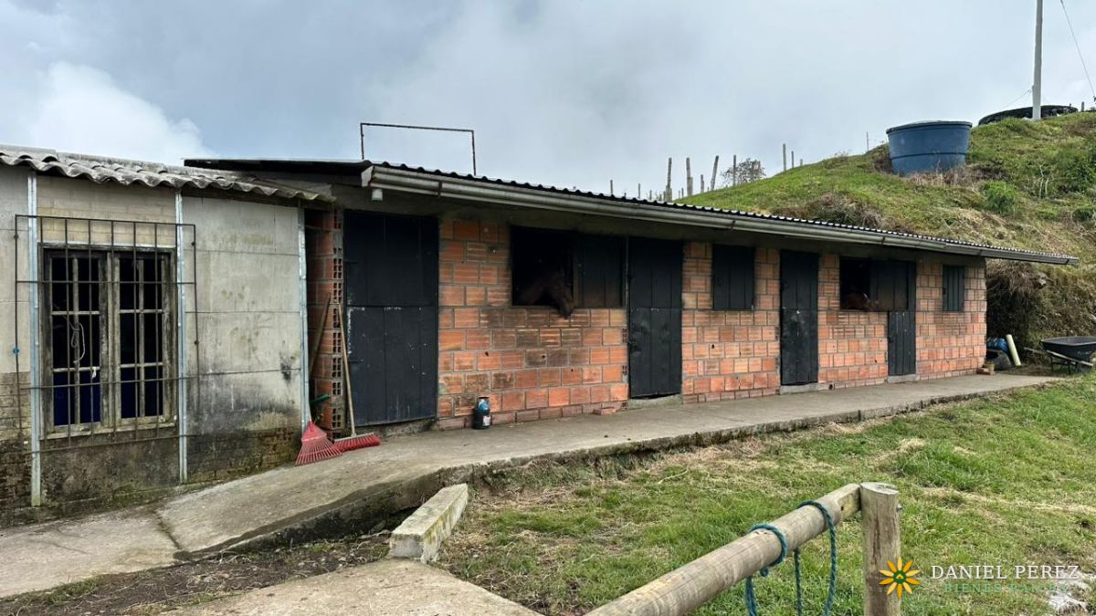 Finca Aguacatera en Tolima - Padua, foto 10