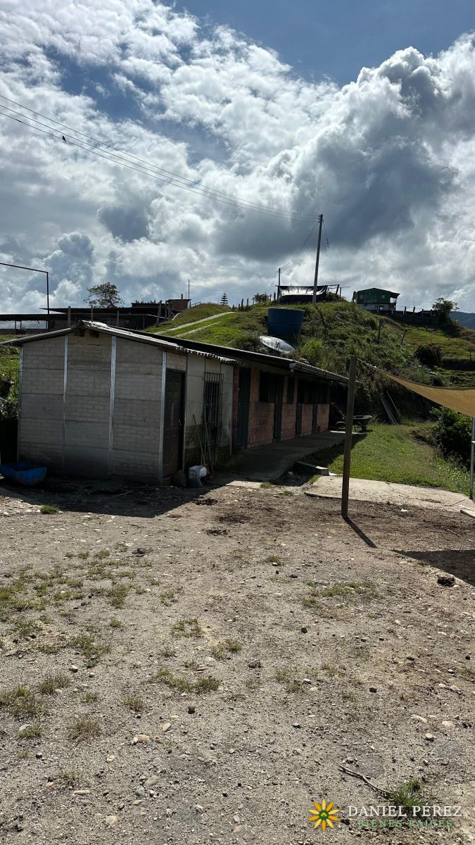 Finca Aguacatera en Tolima - Padua, foto 30