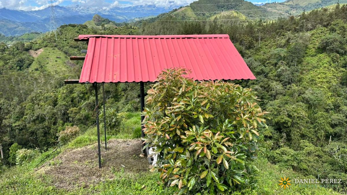 Finca Aguacatera en Tolima - Padua, foto 13