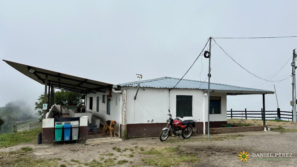 Finca Aguacatera en Tolima - Padua, foto 4