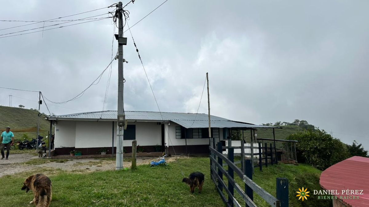 Finca Aguacatera en Tolima - Padua, foto 5