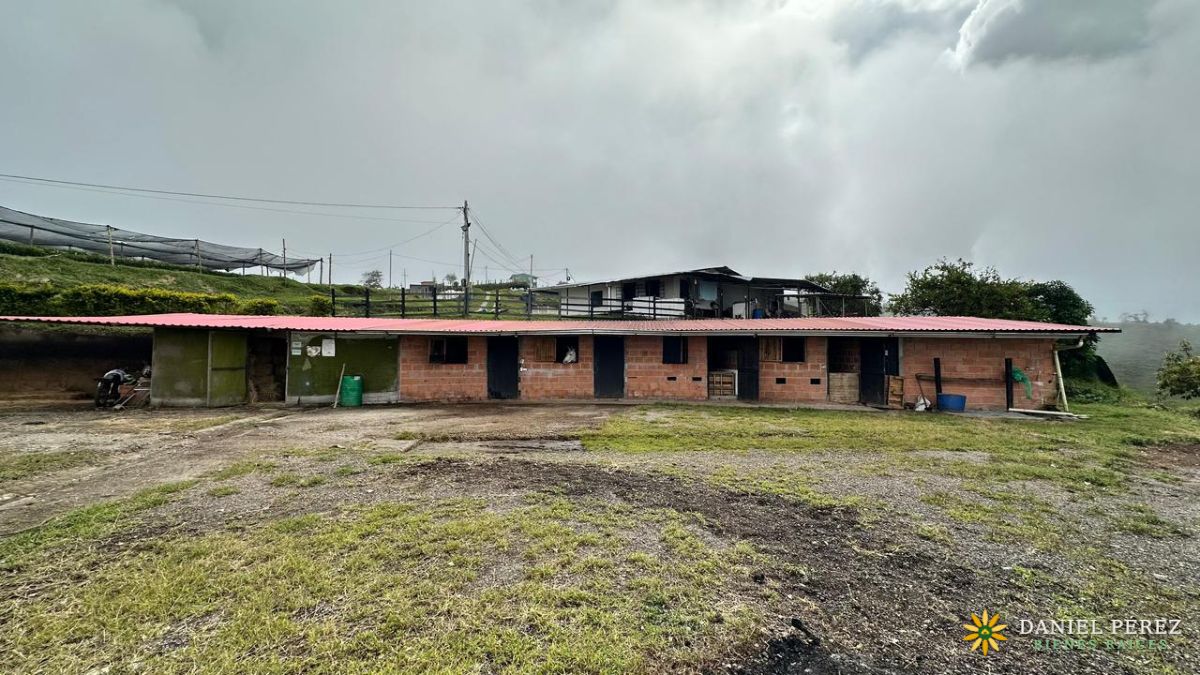 Finca Aguacatera en Tolima - Padua, foto 15