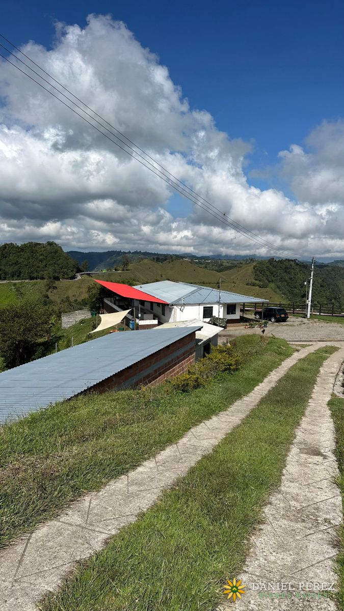 Finca Aguacatera en Tolima - Padua, foto 29