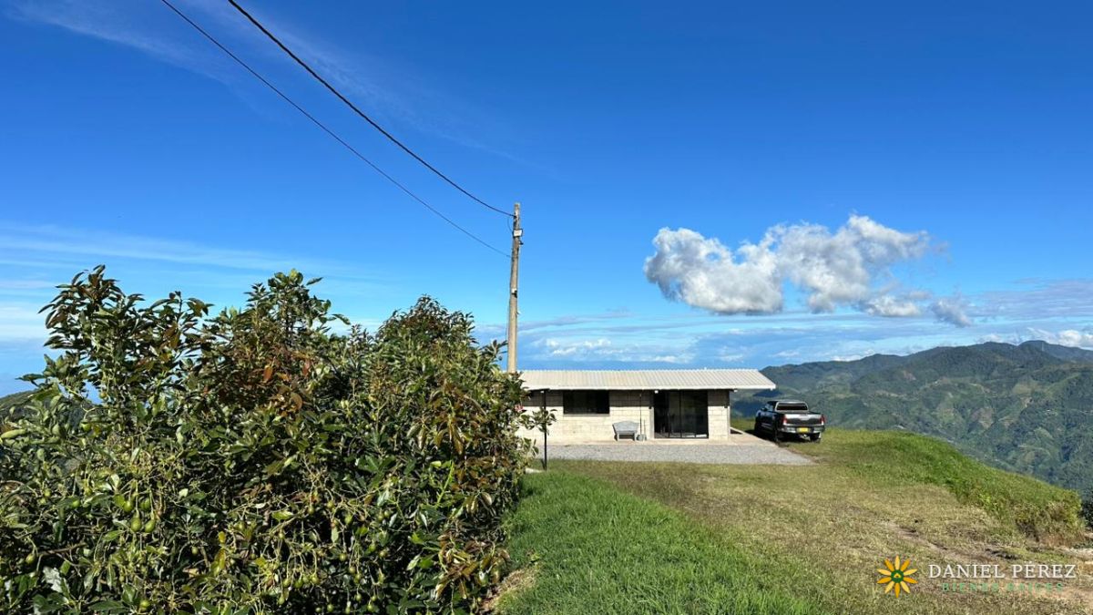 Finca Aguacatera en Tolima - Padua, foto 16