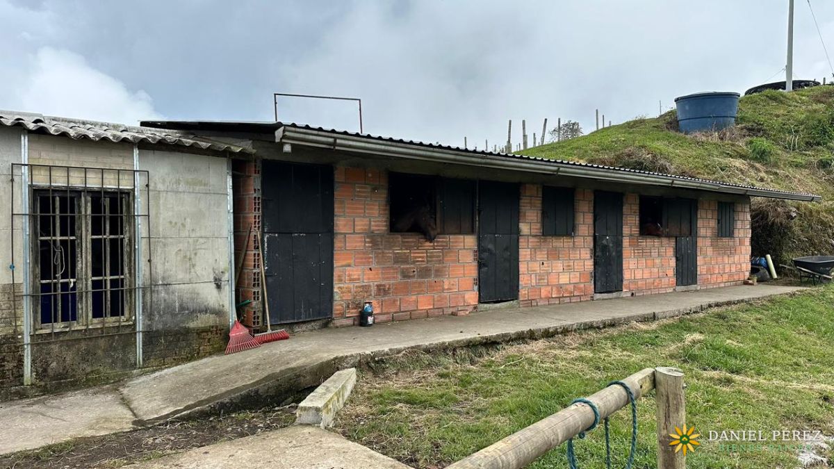 Finca Aguacatera en Tolima - Padua, foto 8