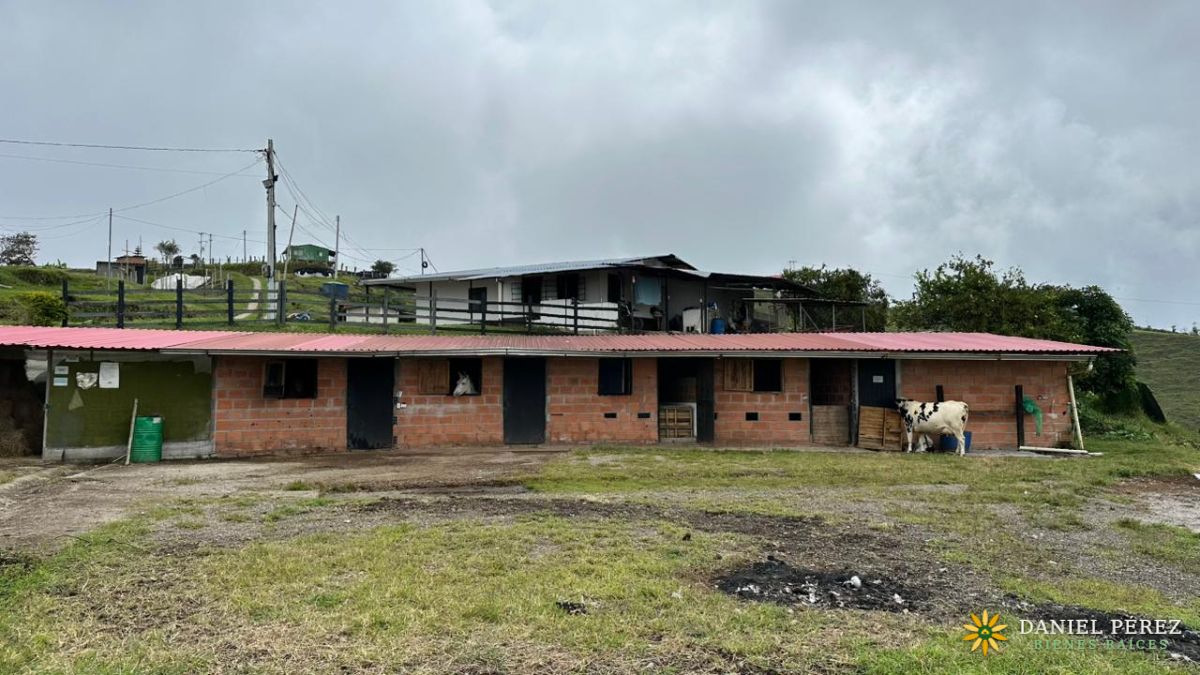 Finca Aguacatera en Tolima - Padua, foto 14