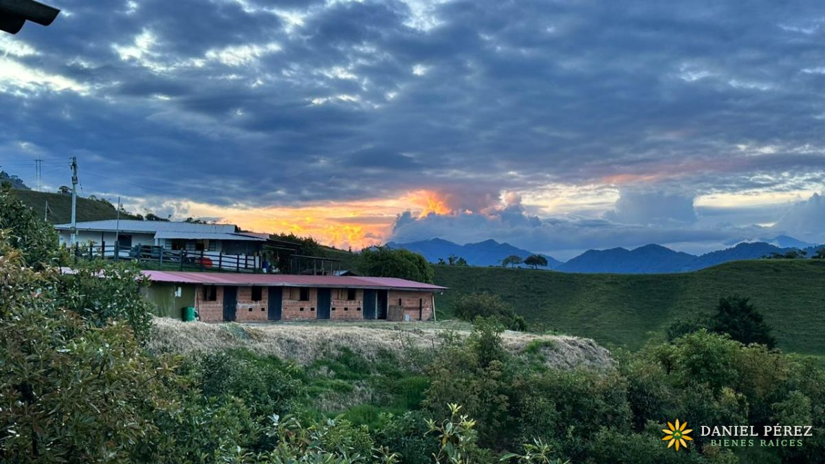 Finca Aguacatera en Tolima - Padua, foto 11