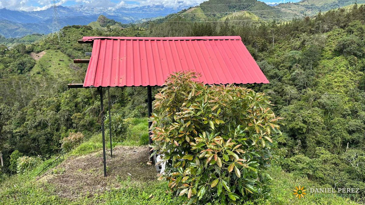 Finca Aguacatera en Tolima - Padua, foto 27