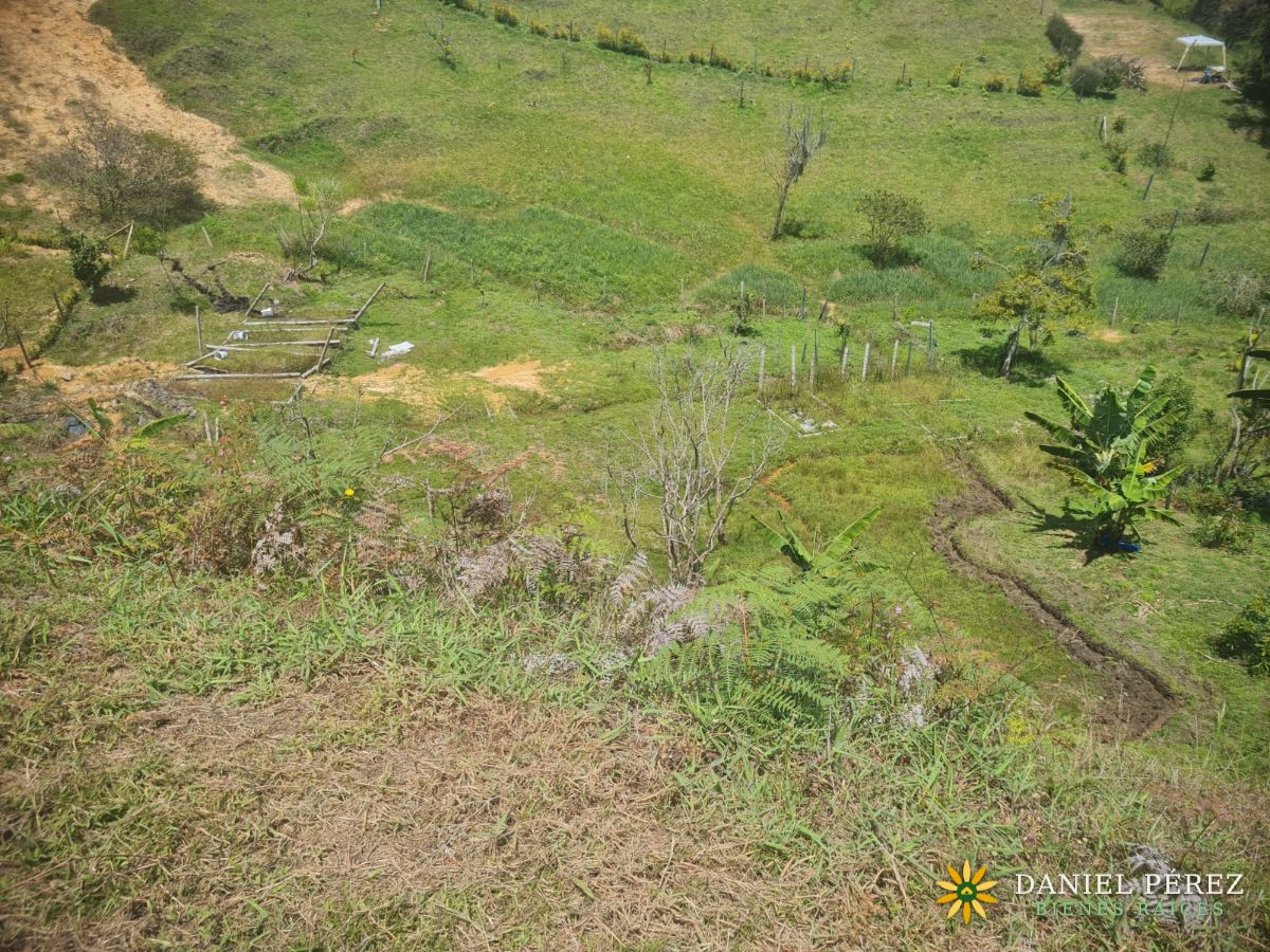 Lote campestre de más de 3.700 m² en San Vicente Ferrer: agua propia, 25 frutales, escritu, foto 16