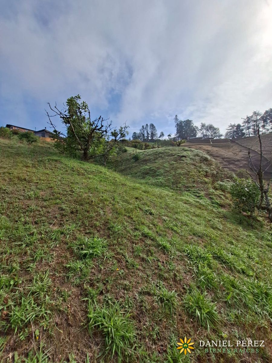 Lote campestre de más de 3.700 m² en San Vicente Ferrer: agua propia, 25 frutales, escritu, foto 12