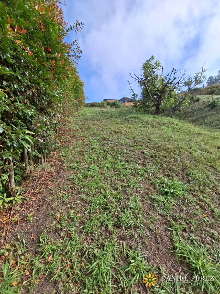 Lote campestre de más de 3.700 m² en San Vicente Ferrer: agua propia, 25 frutales, escritu, foto 11