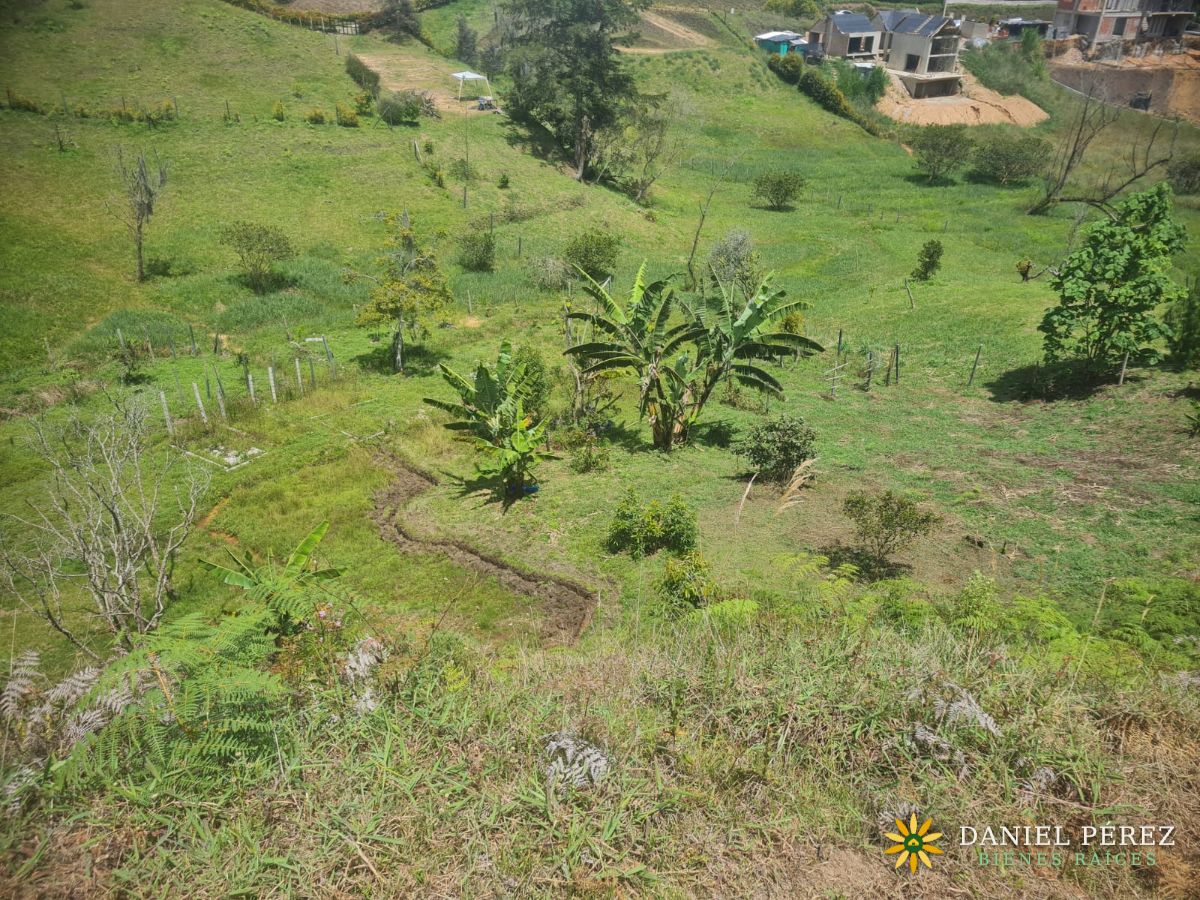 Lote campestre de más de 3.700 m² en San Vicente Ferrer: agua propia, 25 frutales, escritu, foto 15