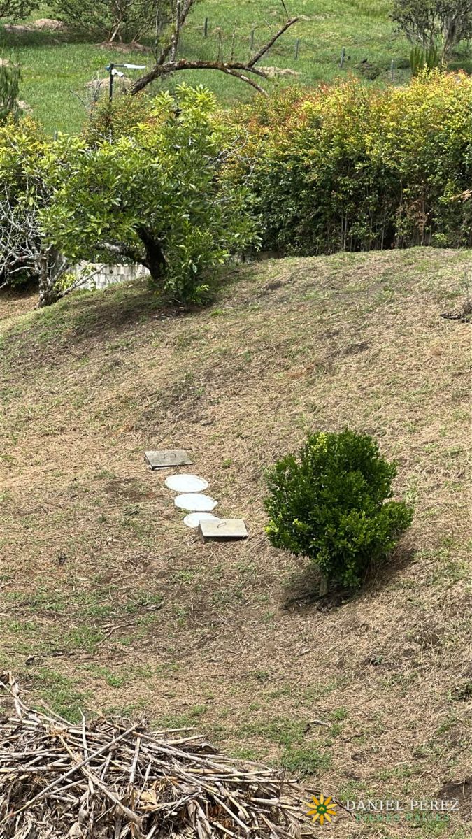 Lote campestre de más de 3.700 m² en San Vicente Ferrer: agua propia, 25 frutales, escritu, foto 18